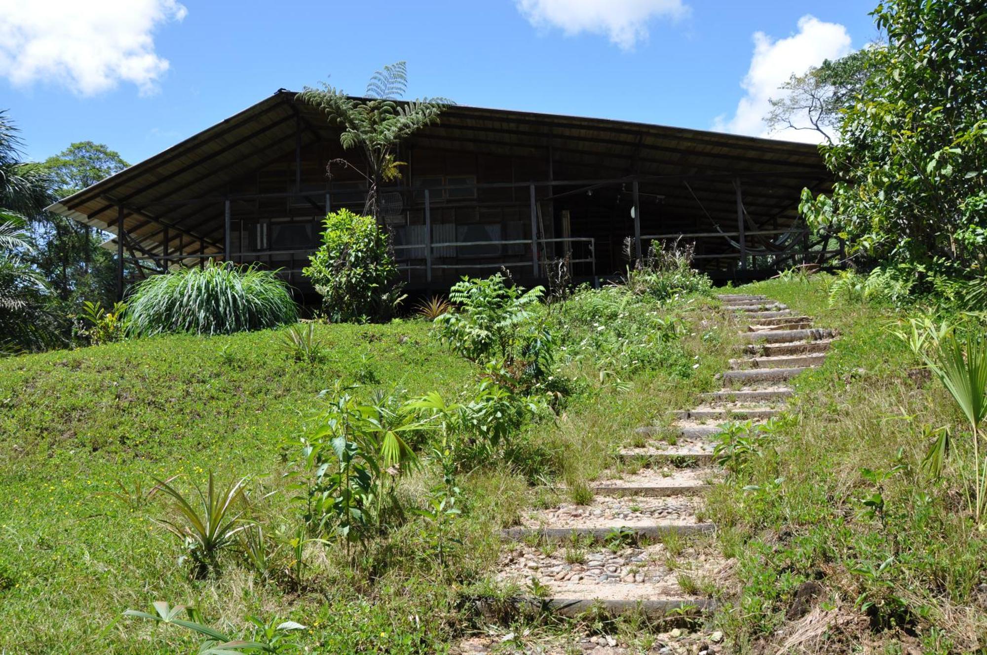 Hakuna Matata Amazon Lodge Archidona Экстерьер фото