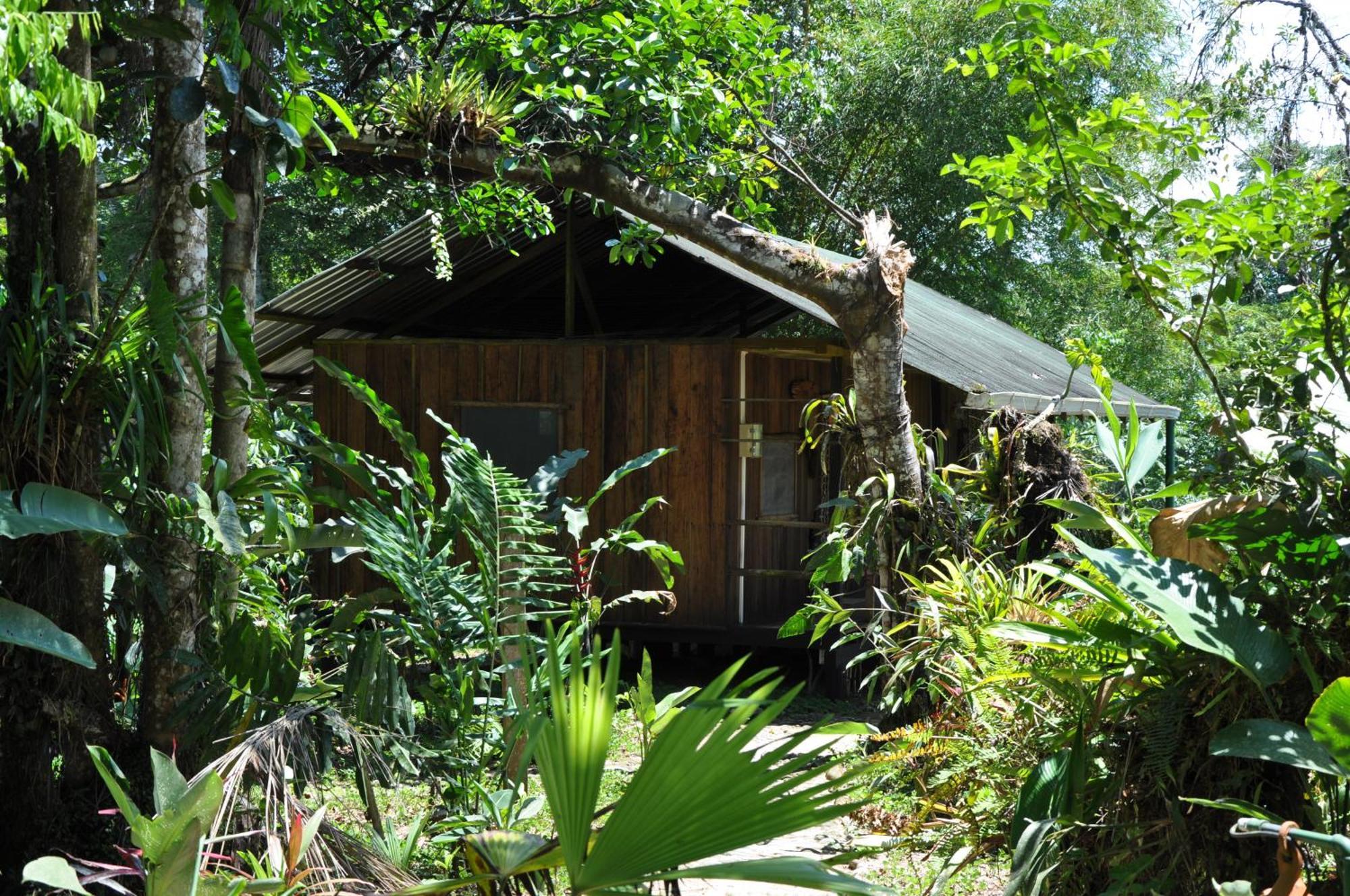 Hakuna Matata Amazon Lodge Archidona Экстерьер фото