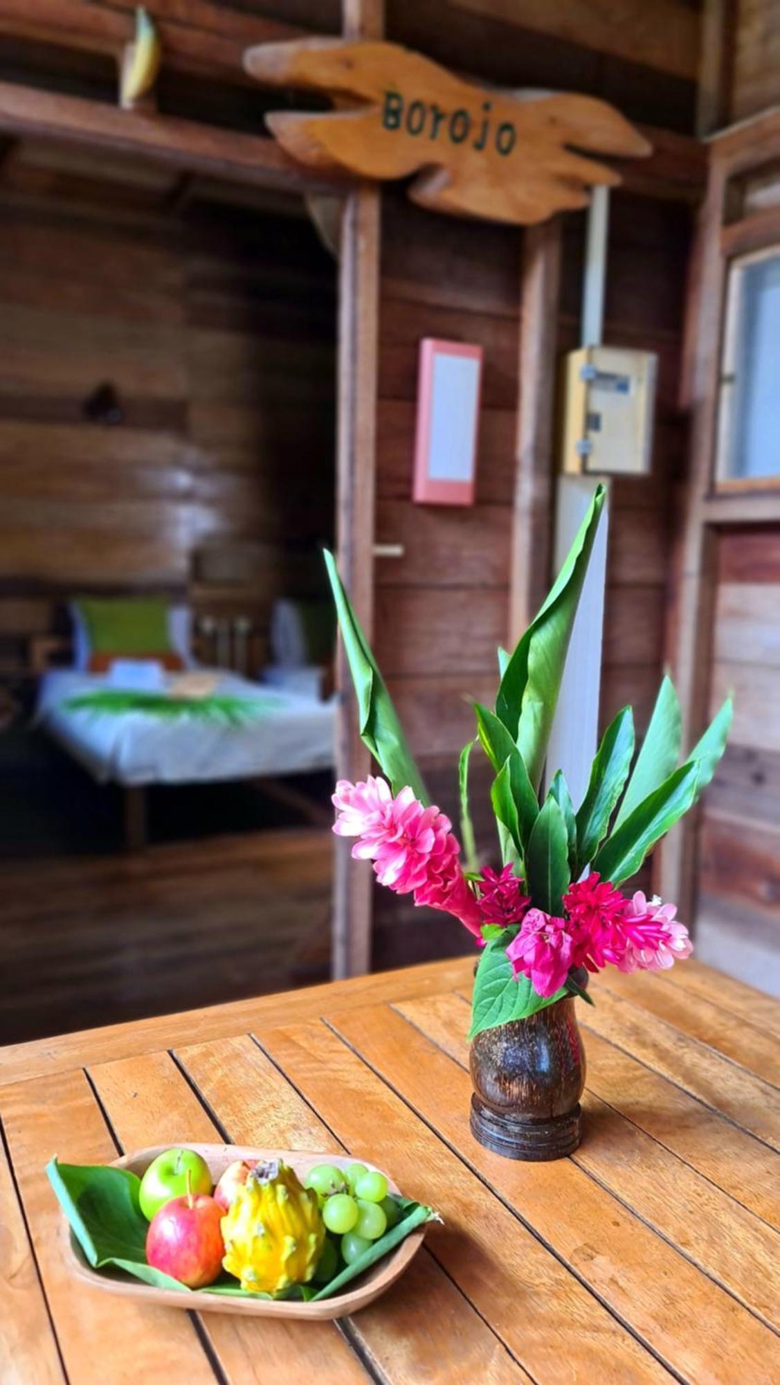 Hakuna Matata Amazon Lodge Archidona Экстерьер фото
