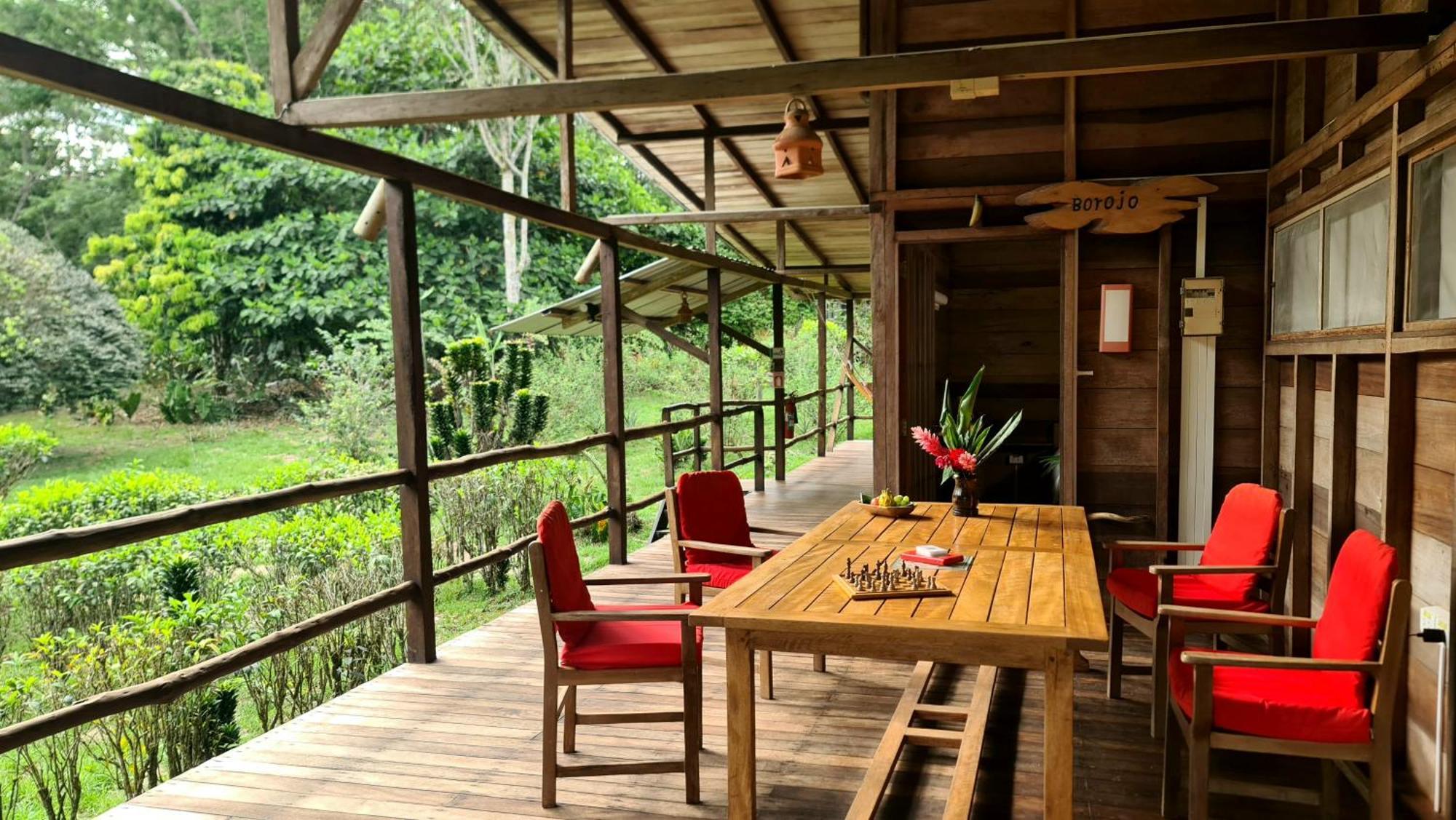 Hakuna Matata Amazon Lodge Archidona Экстерьер фото
