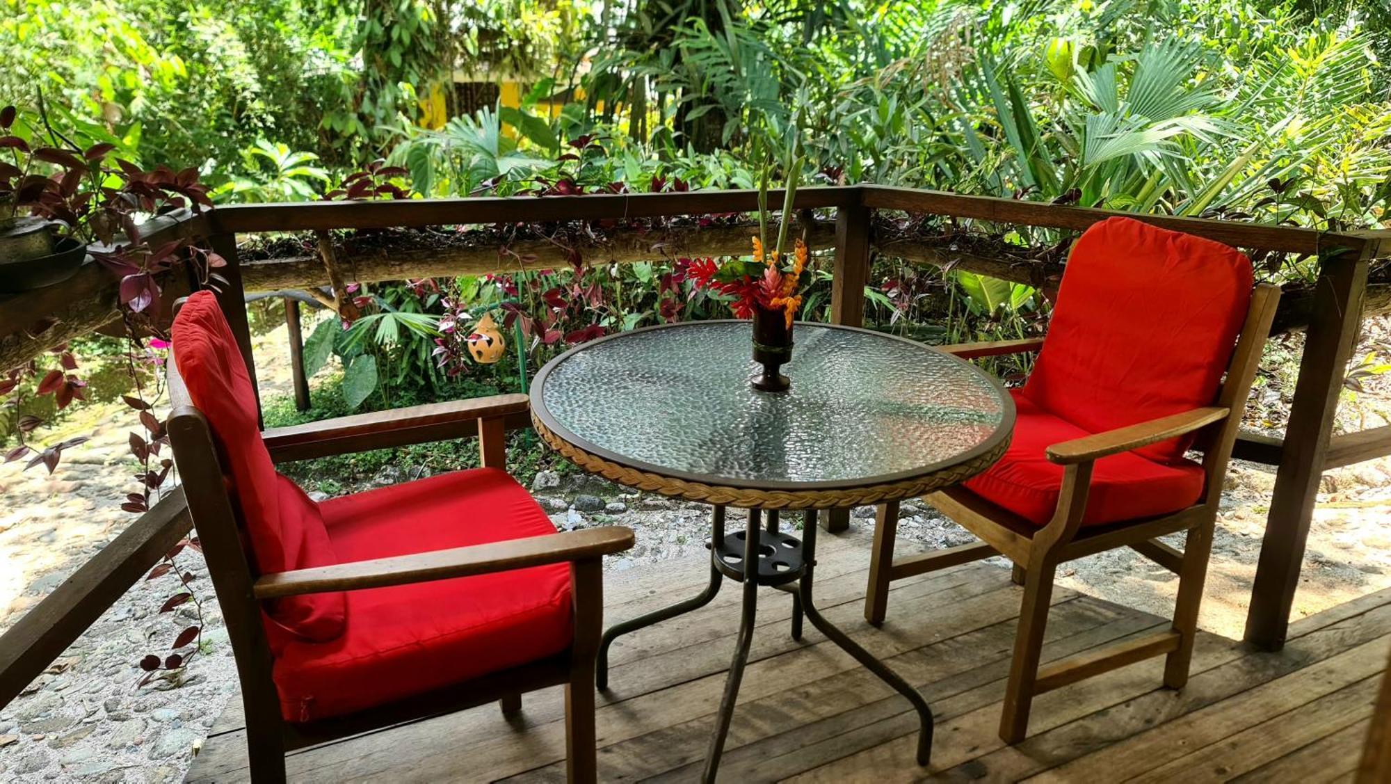 Hakuna Matata Amazon Lodge Archidona Экстерьер фото