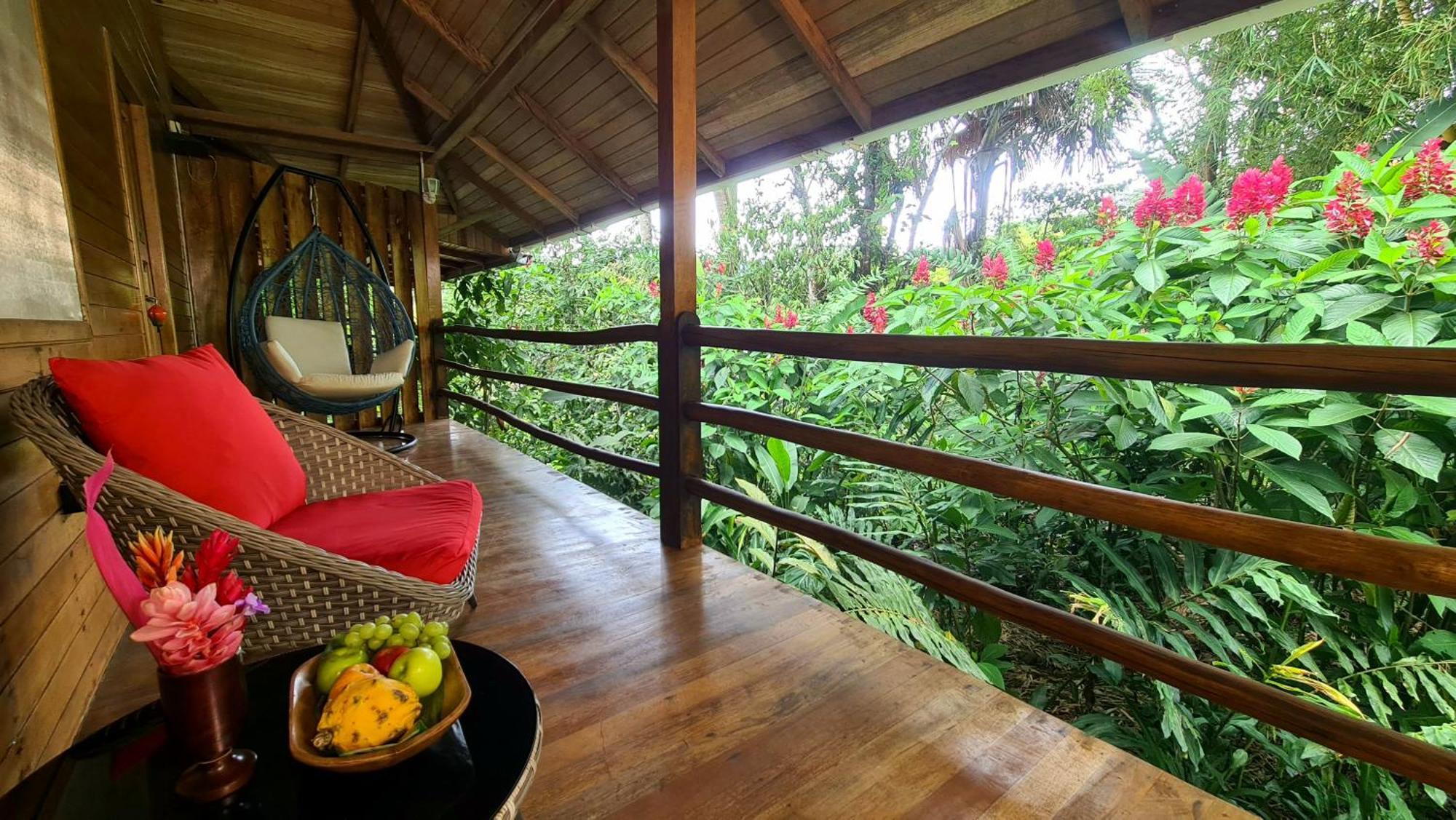 Hakuna Matata Amazon Lodge Archidona Экстерьер фото