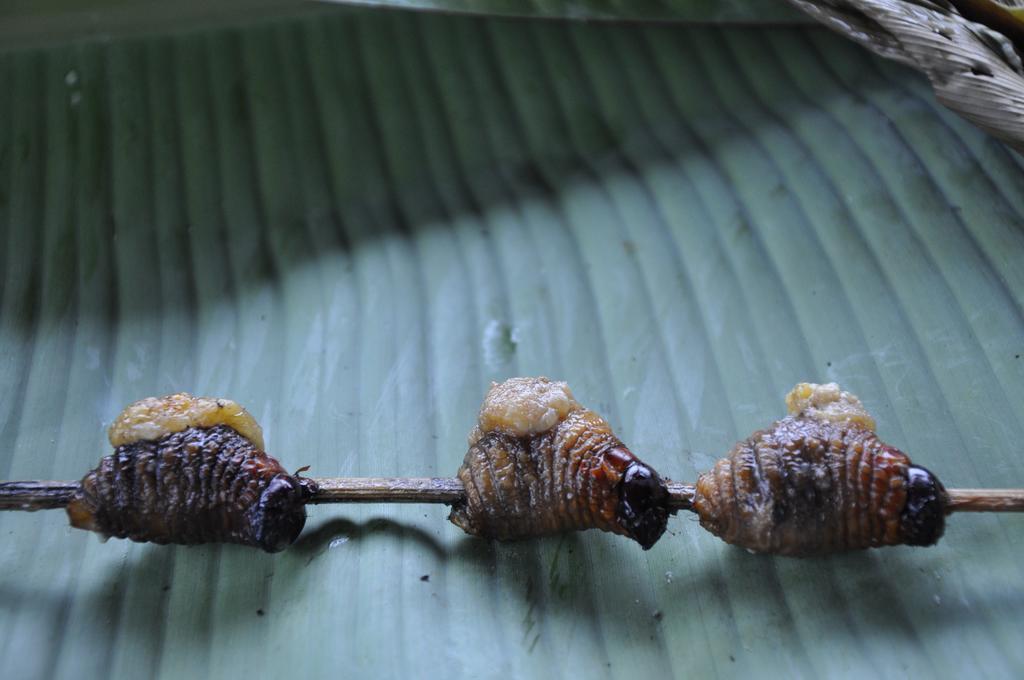 Hakuna Matata Amazon Lodge Archidona Экстерьер фото