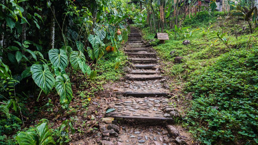 Hakuna Matata Amazon Lodge Archidona Экстерьер фото